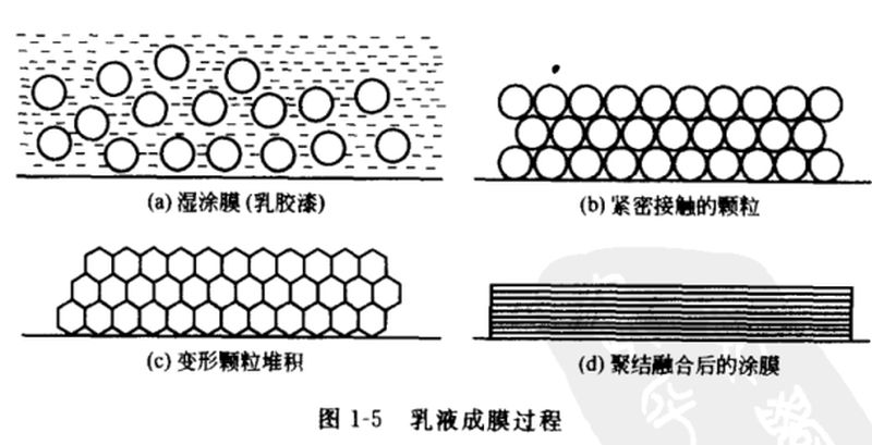 图片13